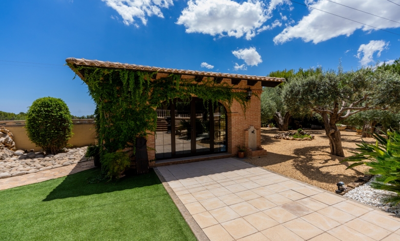  -  - San Vicente del Raspeig