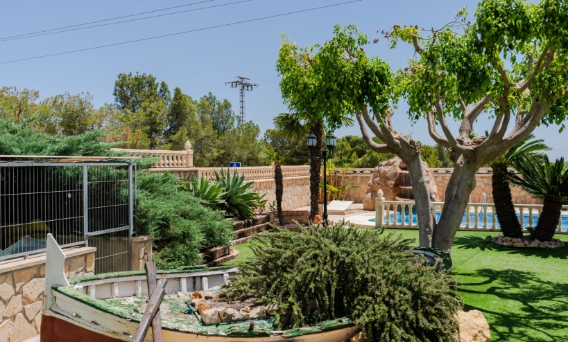  -  - San Vicente del Raspeig