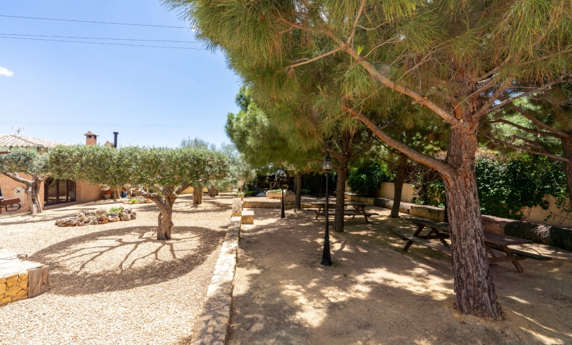  -  - San Vicente del Raspeig