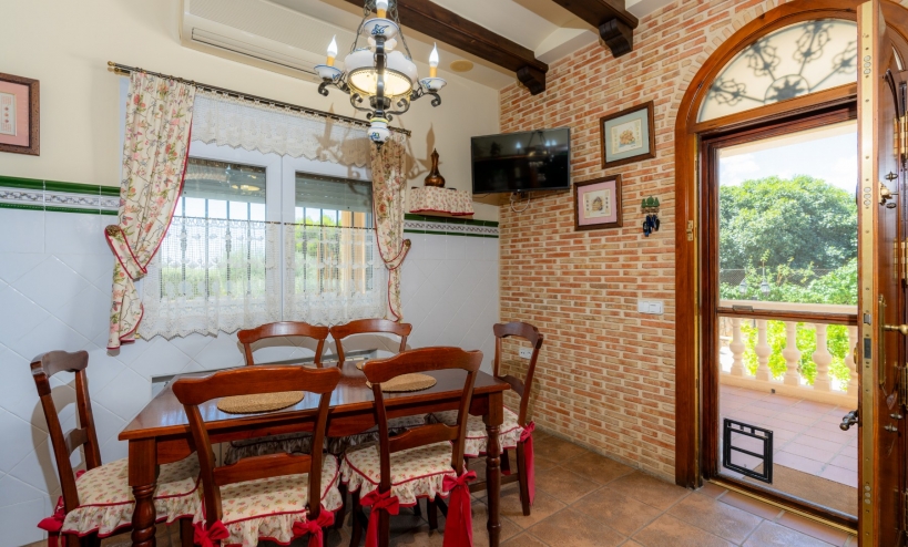  -  - San Vicente del Raspeig