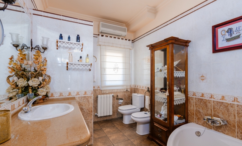  -  - San Vicente del Raspeig