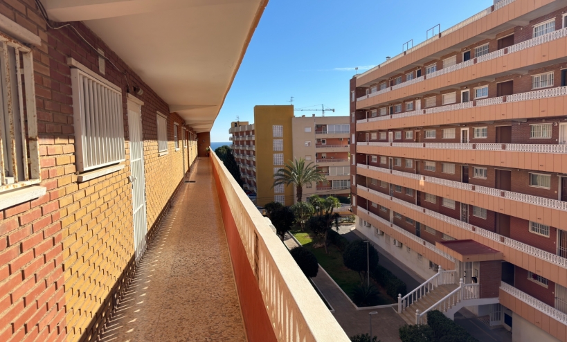  - Apartment - Torrevieja - Punta Prima