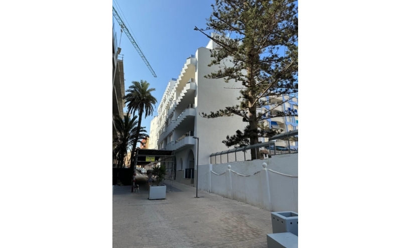  - Apartment - Torrevieja - Playa Los Locos