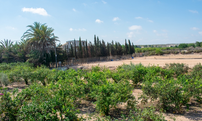  - Villa - Guardamar del Segura - El Raso