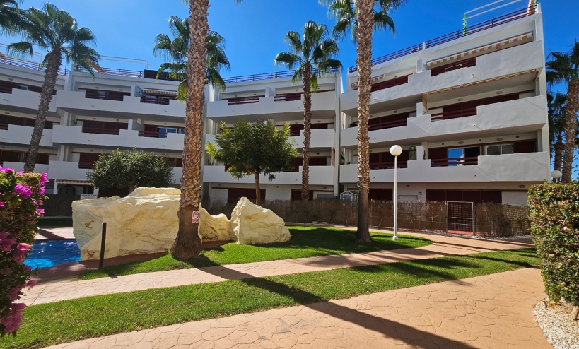  - Apartment - Playa Flamenca - El Rincon