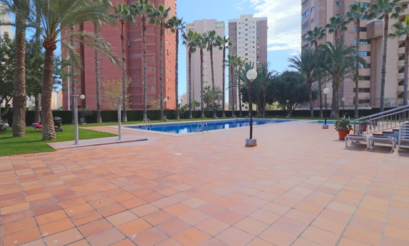  - Apartment - Benidorm - Levante