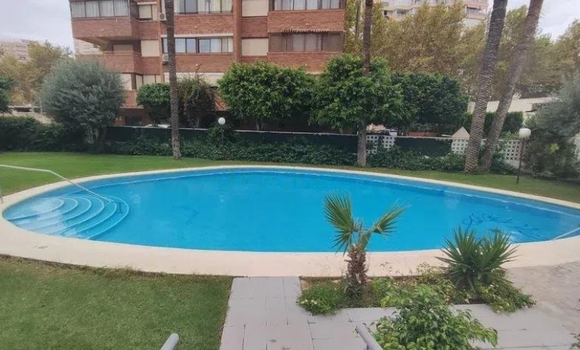  - Apartment - Benidorm - Levante