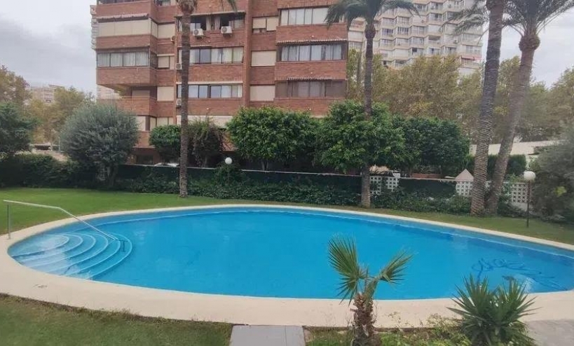  - Apartment - Benidorm - Levante