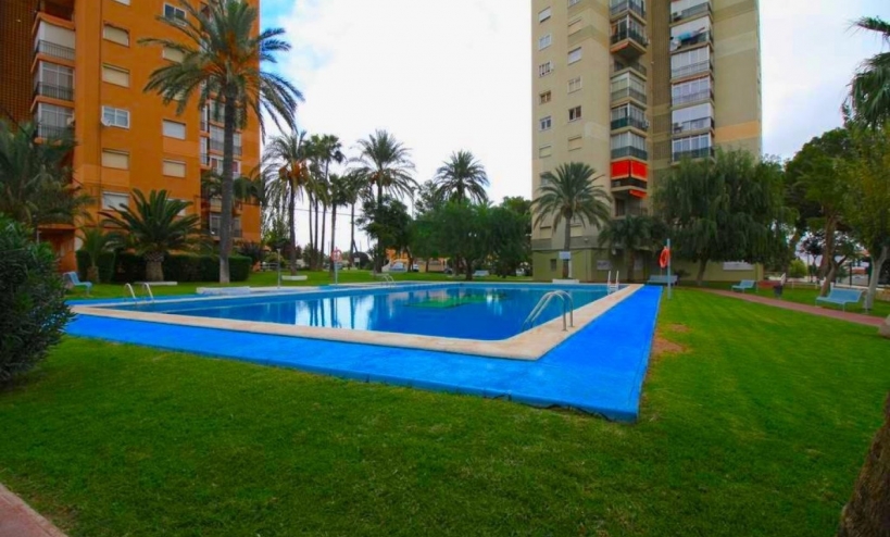  - Apartment - Benidorm - Colonia Madrid