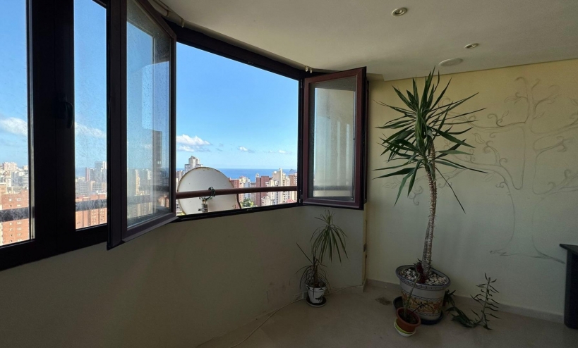  - Apartment - Benidorm - Juzgados