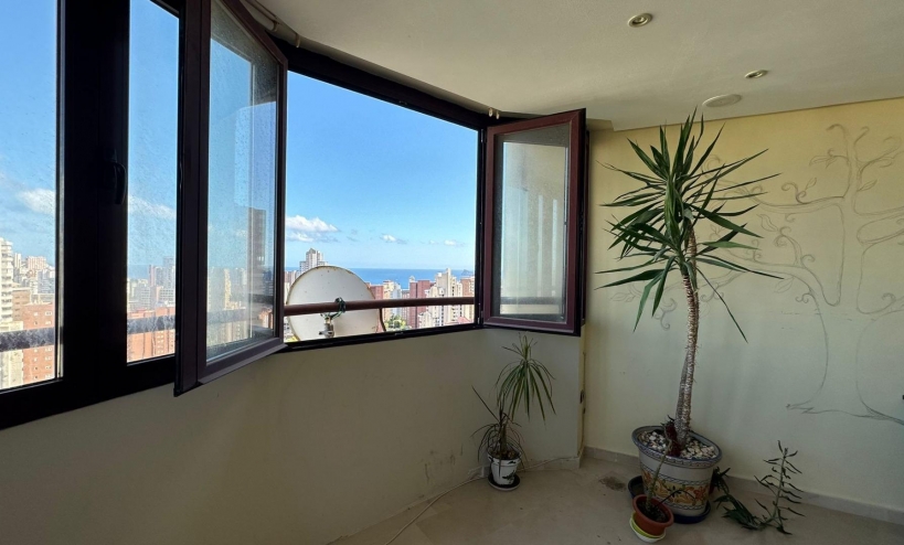  - Apartment - Benidorm - Juzgados