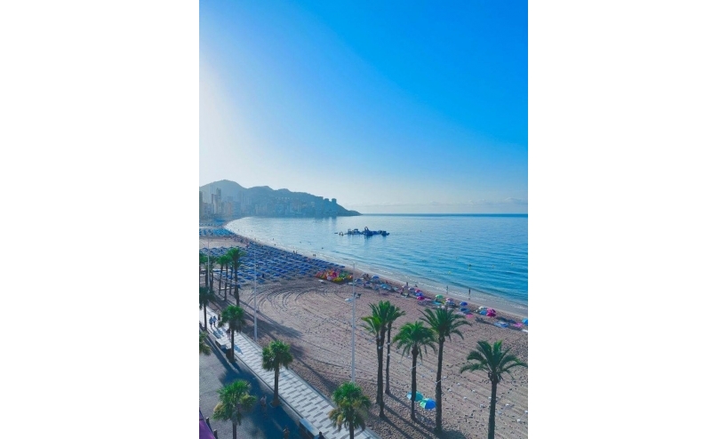  - Apartment - Benidorm - Levante