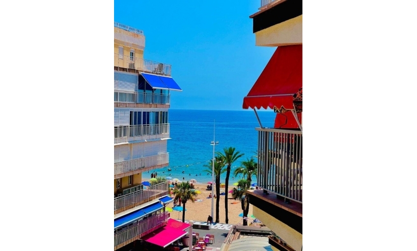  - Apartment - Benidorm - Levante