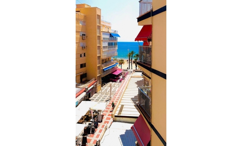  - Apartment - Benidorm - Levante