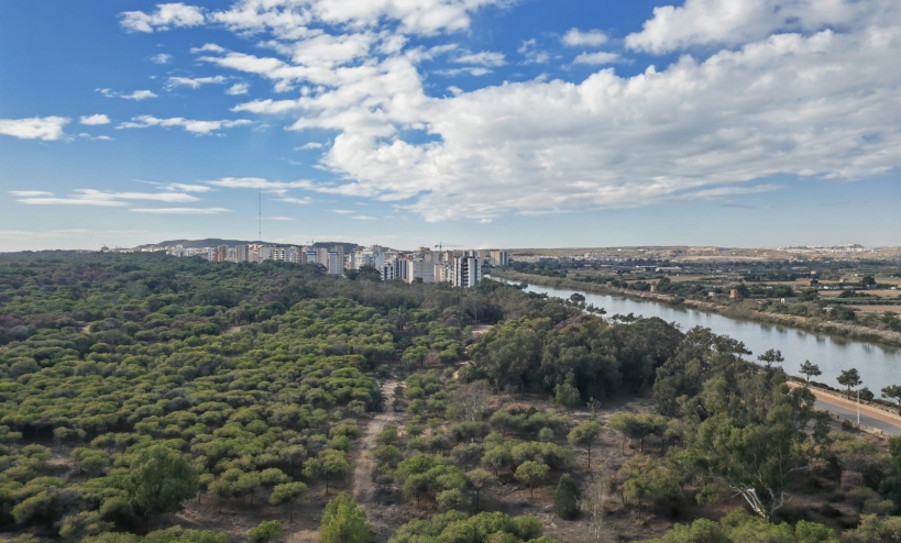  - Apartment - Guardamar del Segura