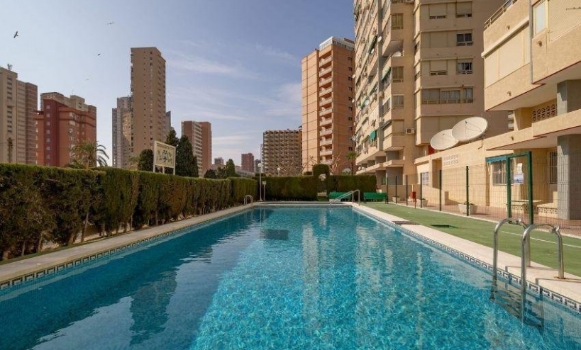  - Apartment - Benidorm - Levante