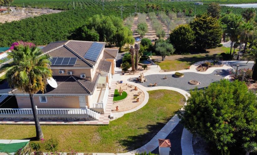  -  - San Miguel de Salinas