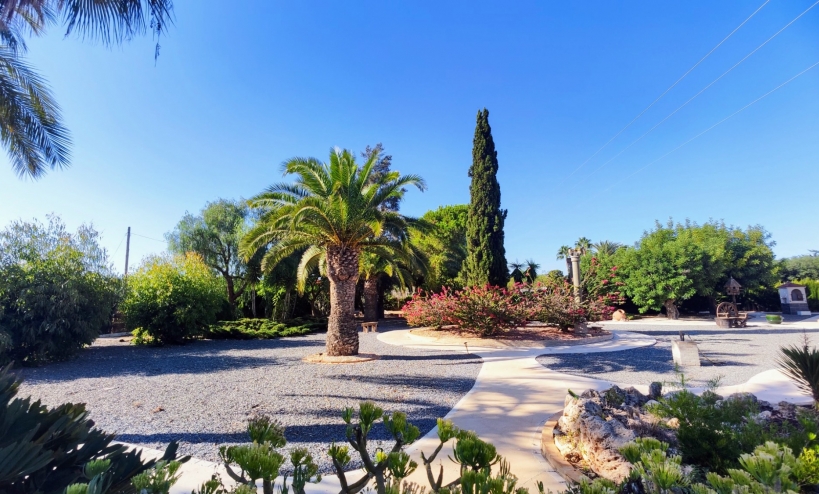  -  - San Miguel de Salinas