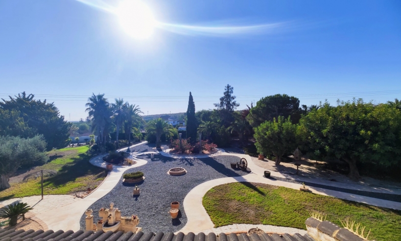  -  - San Miguel de Salinas