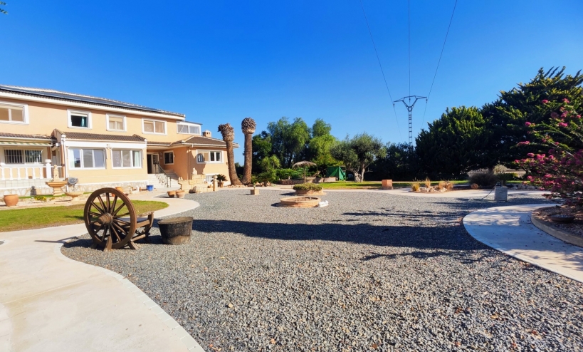  -  - San Miguel de Salinas