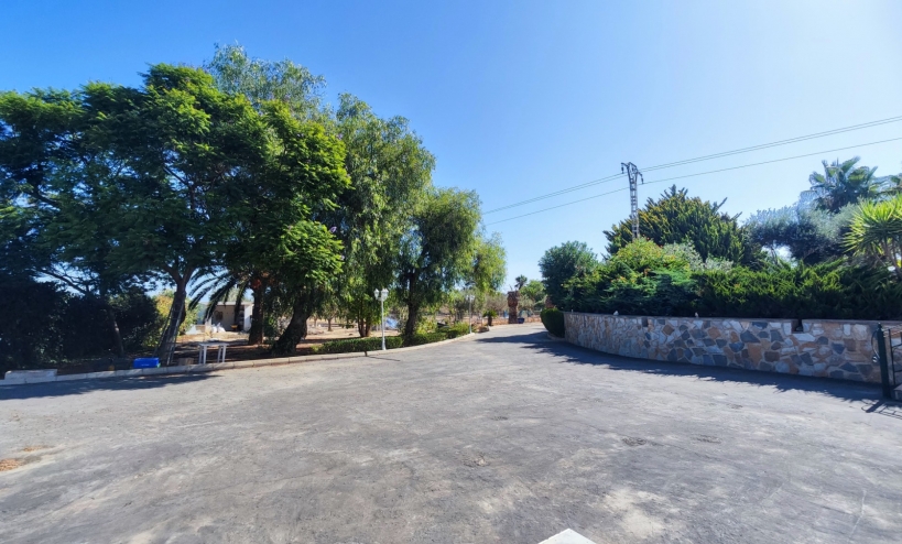  -  - San Miguel de Salinas