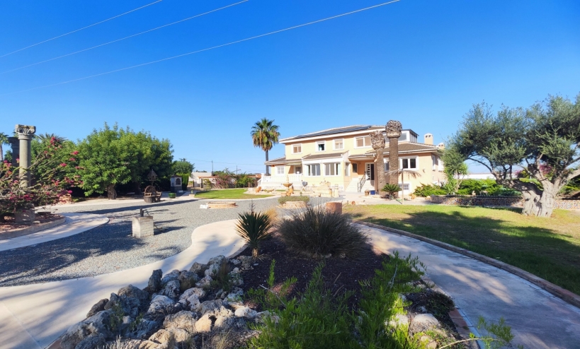  -  - San Miguel de Salinas