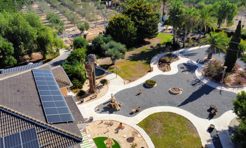  -  - San Miguel de Salinas