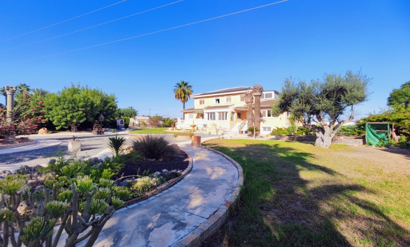  -  - San Miguel de Salinas