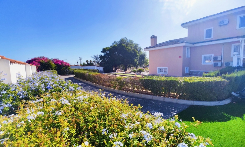  -  - San Miguel de Salinas