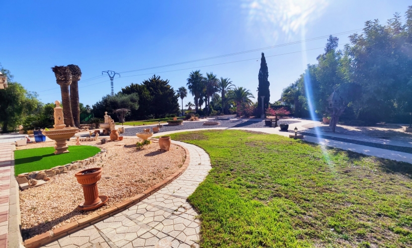  -  - San Miguel de Salinas