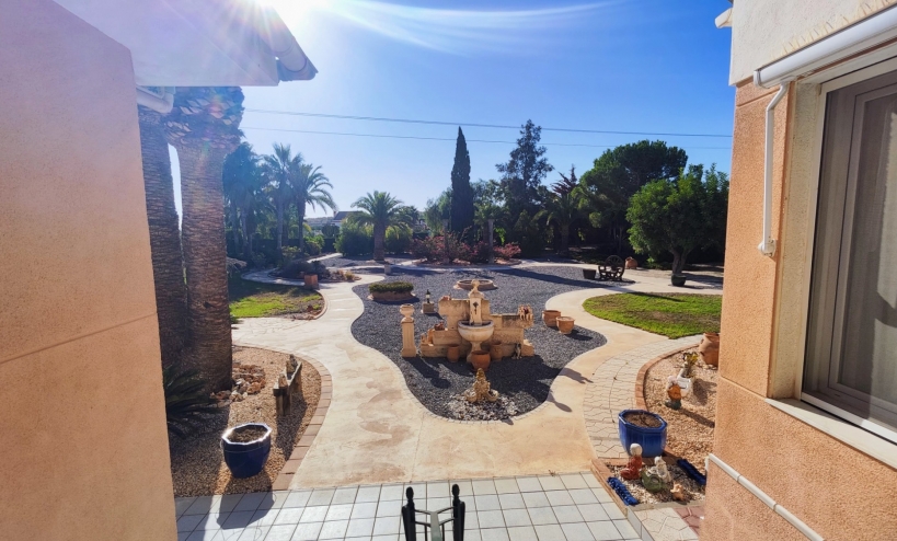  -  - San Miguel de Salinas