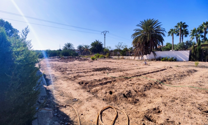  -  - San Miguel de Salinas