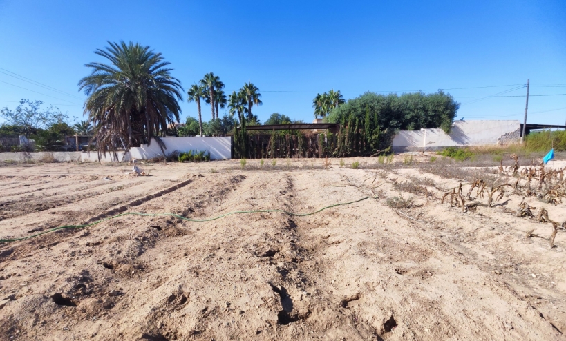  -  - San Miguel de Salinas