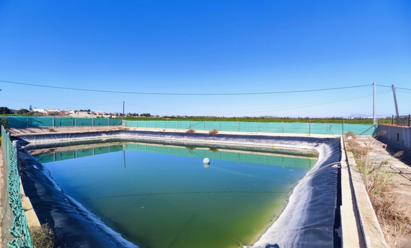  -  - San Miguel de Salinas