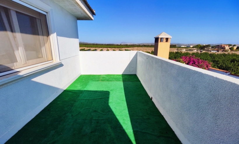  -  - San Miguel de Salinas