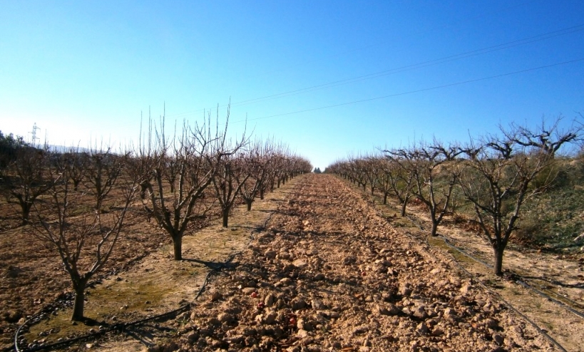  - Country House - Agullent