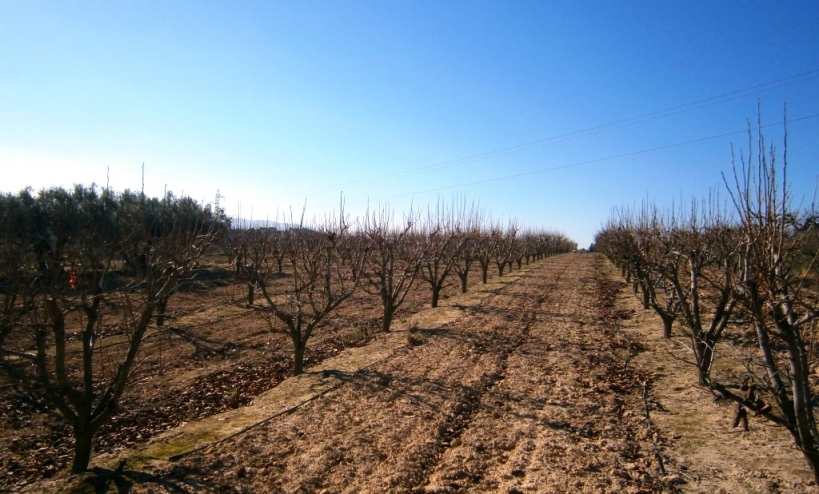  - Country House - Agullent