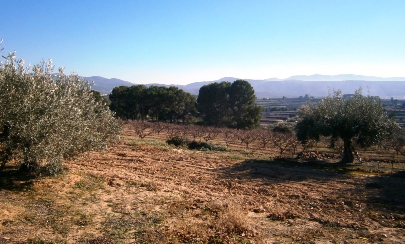  - Country House - Agullent