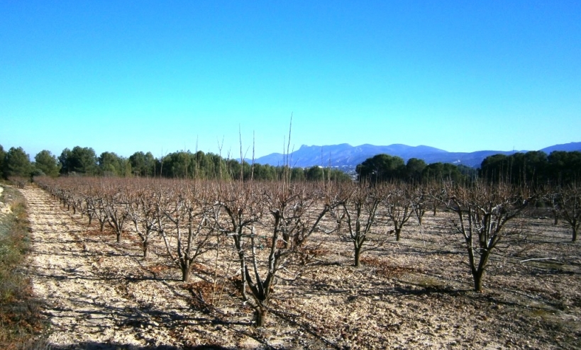  - Country House - Agullent