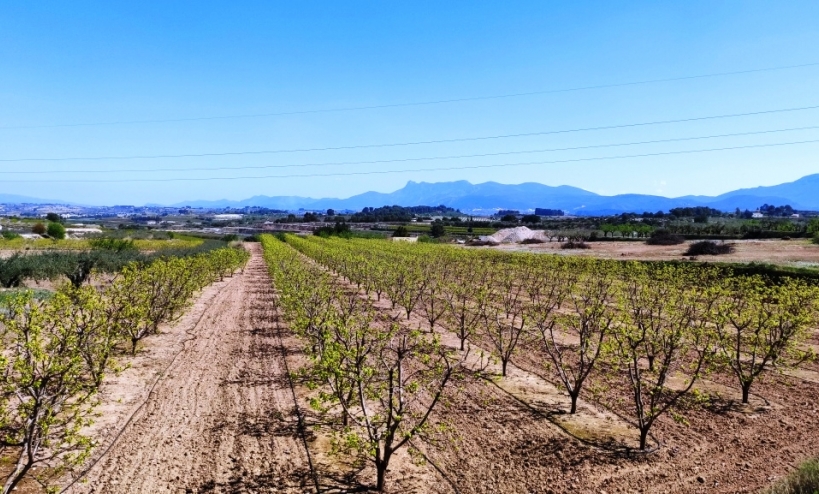 - Country House - Agullent
