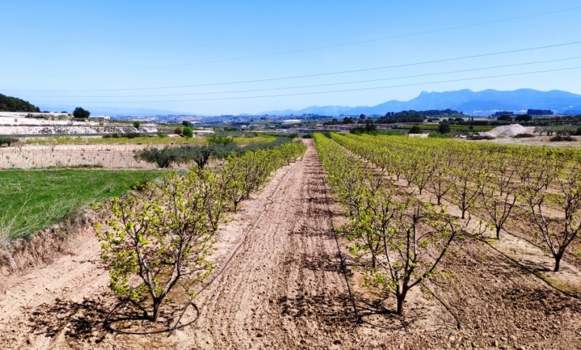  - Country House - Agullent