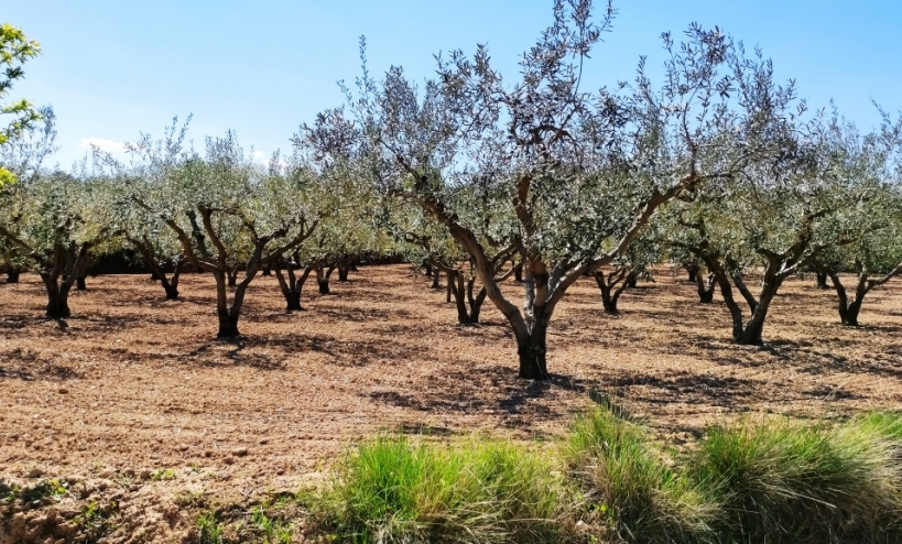  - Country House - Agullent