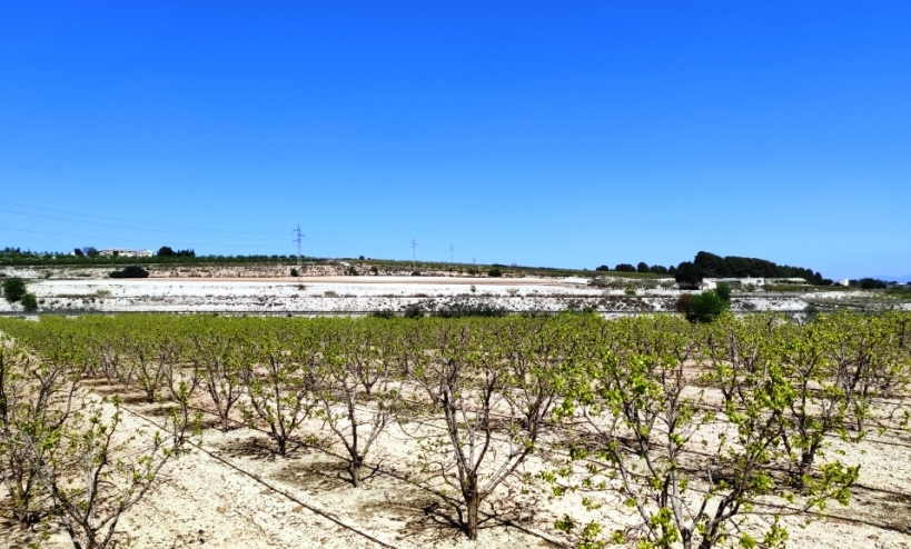  - Country House - Agullent