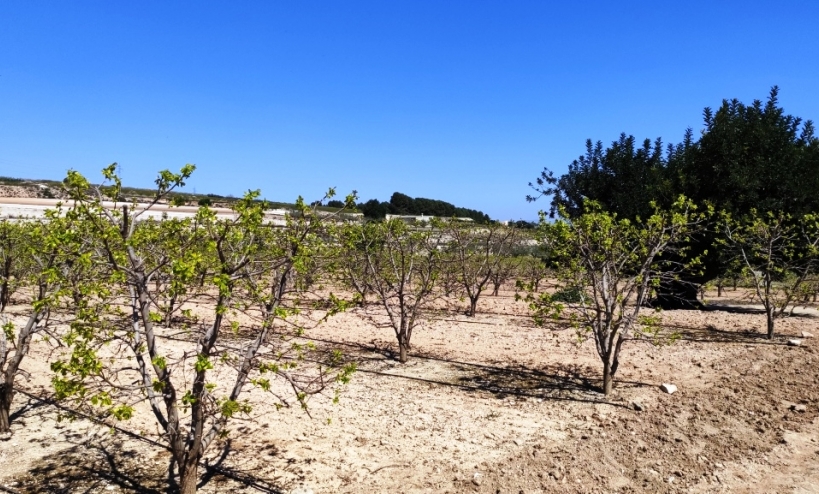  - Country House - Agullent
