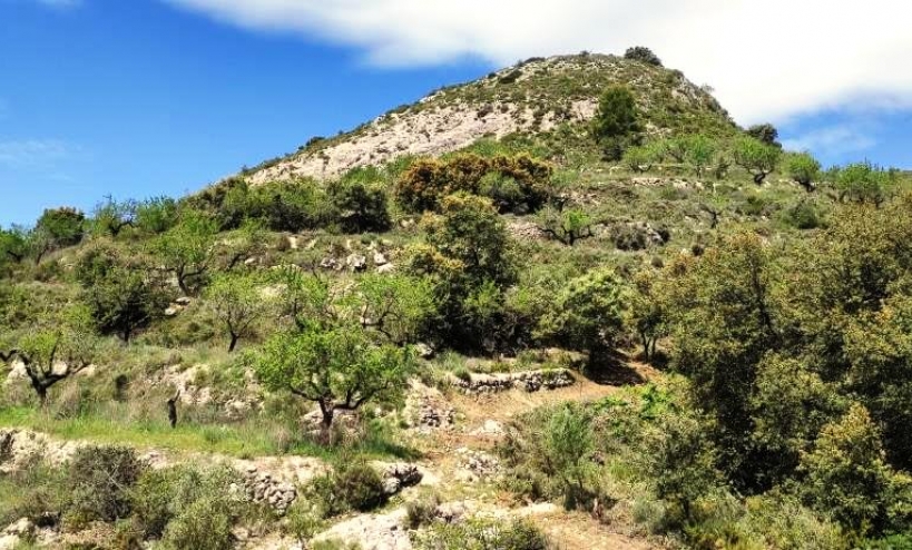  - Country House - Benasau