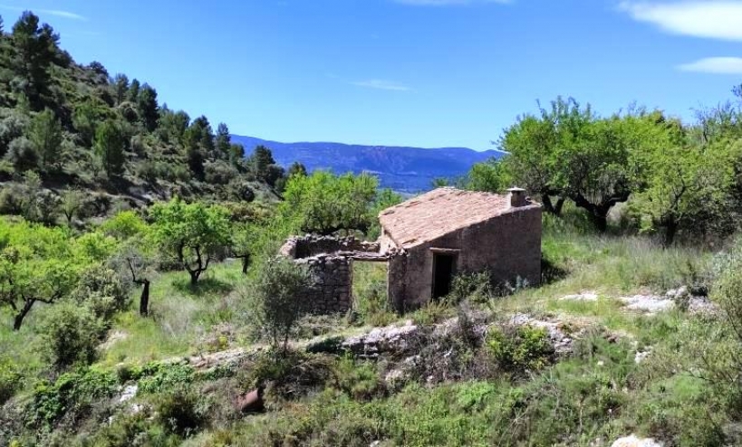  - Country House - Benasau