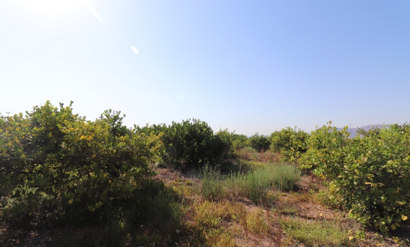  - Country House - Albatera