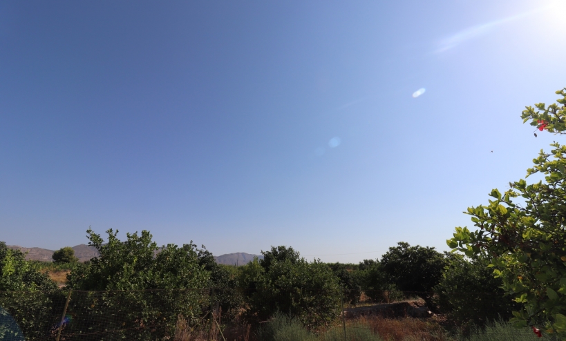  - Country House - Albatera