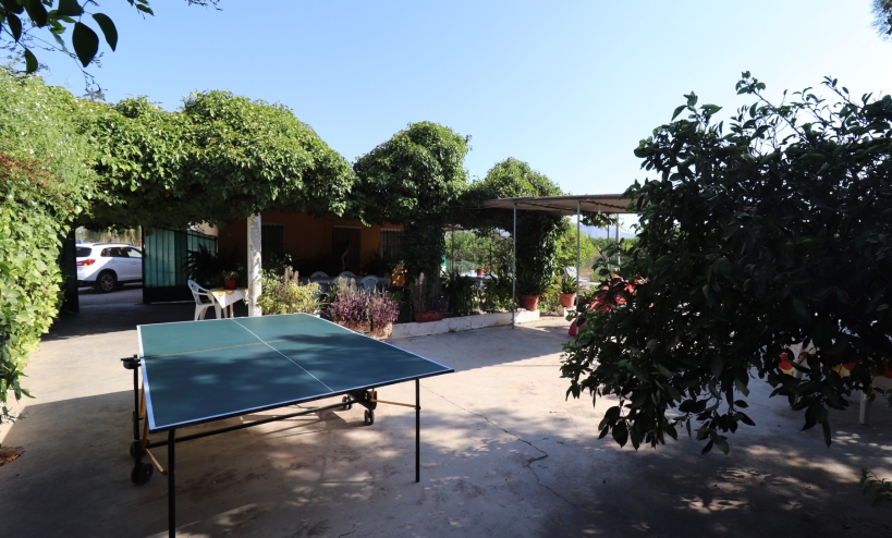  - Country House - Albatera