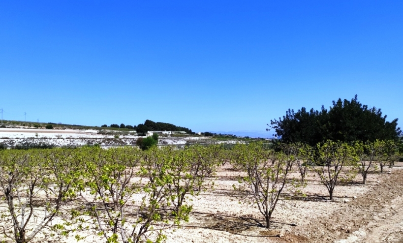  - Country House - Agullent